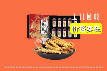 东营区回收冬虫夏草